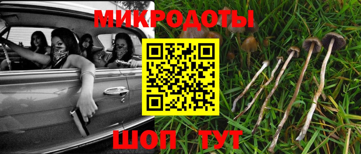 Галлюциногенные грибы Cubensis Артём