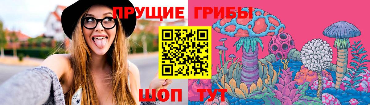 Галлюциногенные грибы Psilocybine cubensis  закладка  Артём  Вход с VPN 