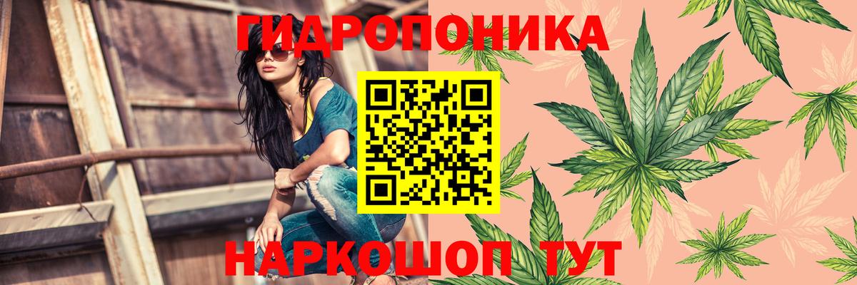 Шишки марихуана гибрид Артём